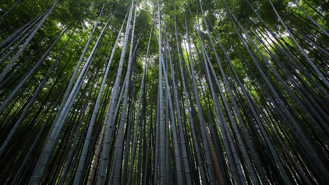 博万体育相关应用推荐 - 博万体育app登录 下载 入口官网